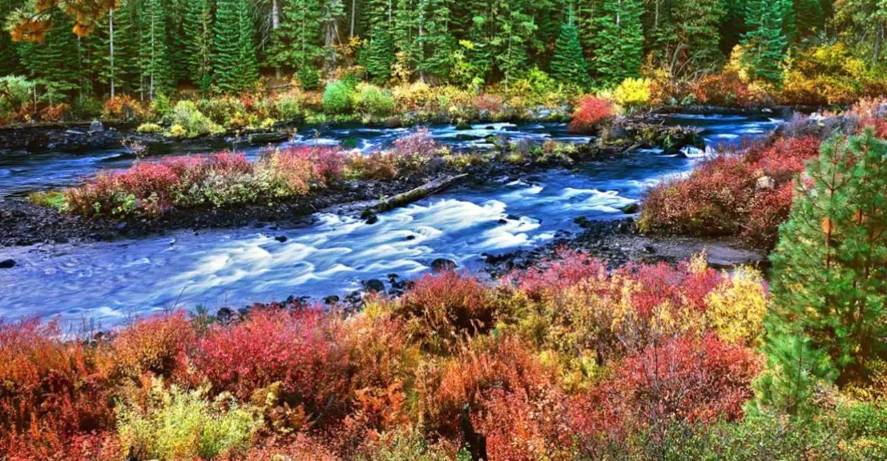 Seventh Mountain Resort Deschutes River Woods Exterior foto
